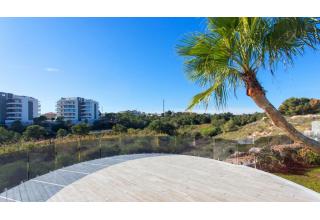 Bien à vendre Orihuela Costa