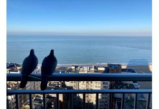 Ostende