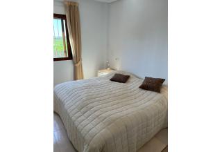 Bien à vendre Daya Vieja