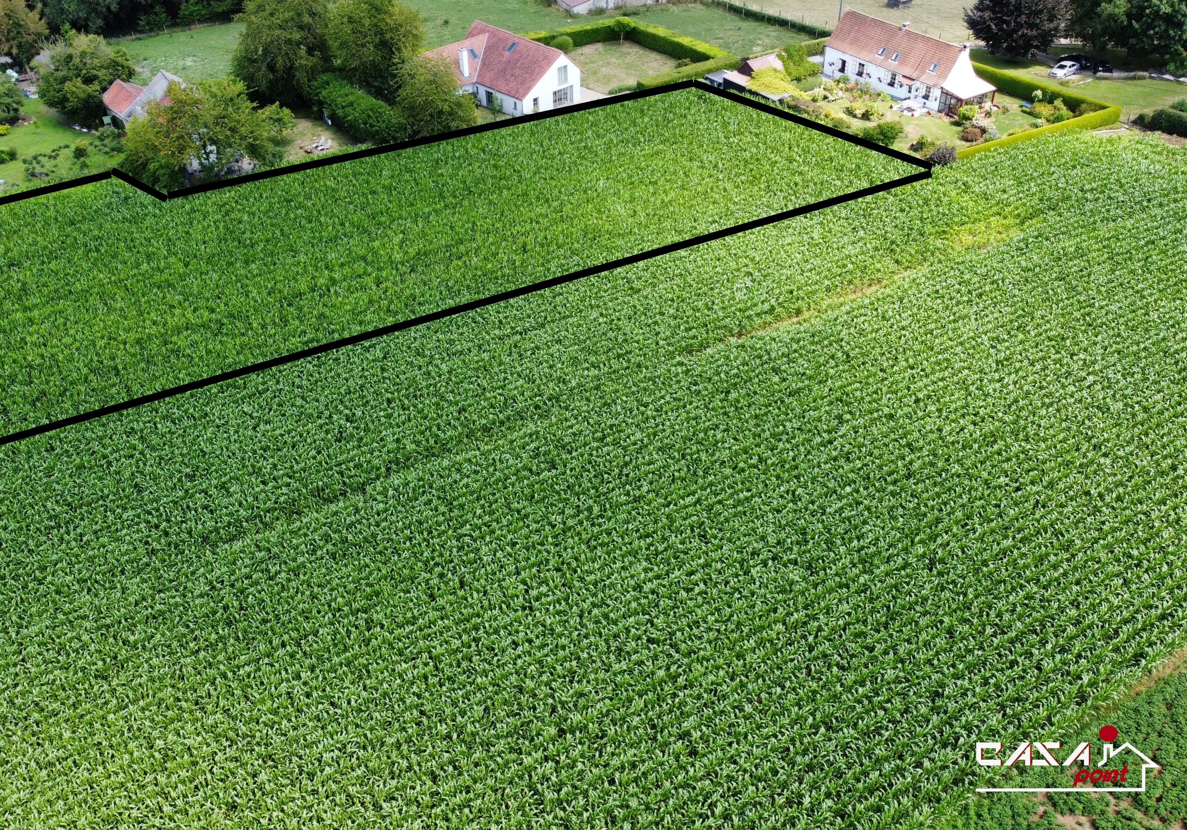  terrain agricole de 44 ares 93, sur la commune de Rebecq - Photo 3