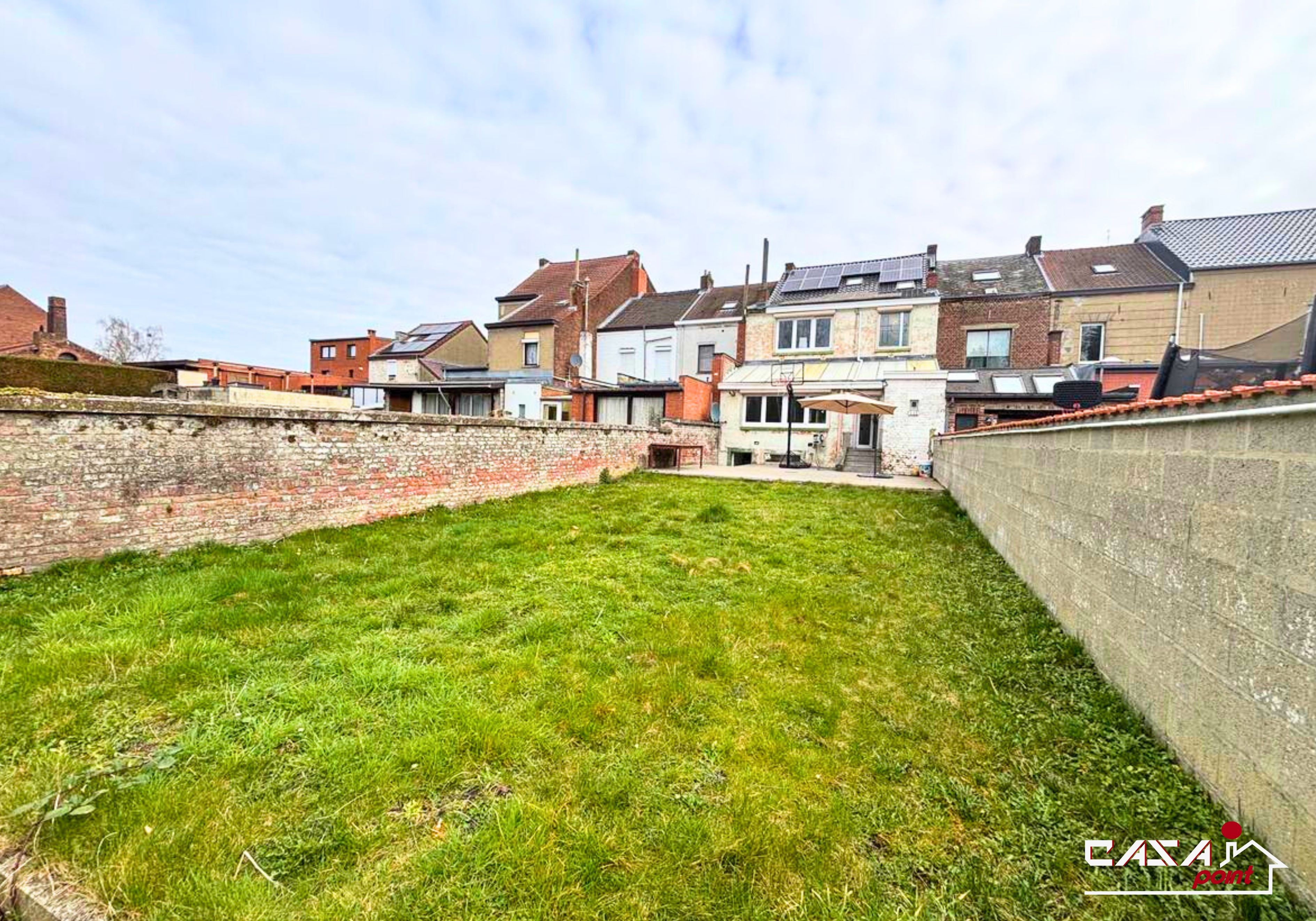 Marguerite  - Photo 14