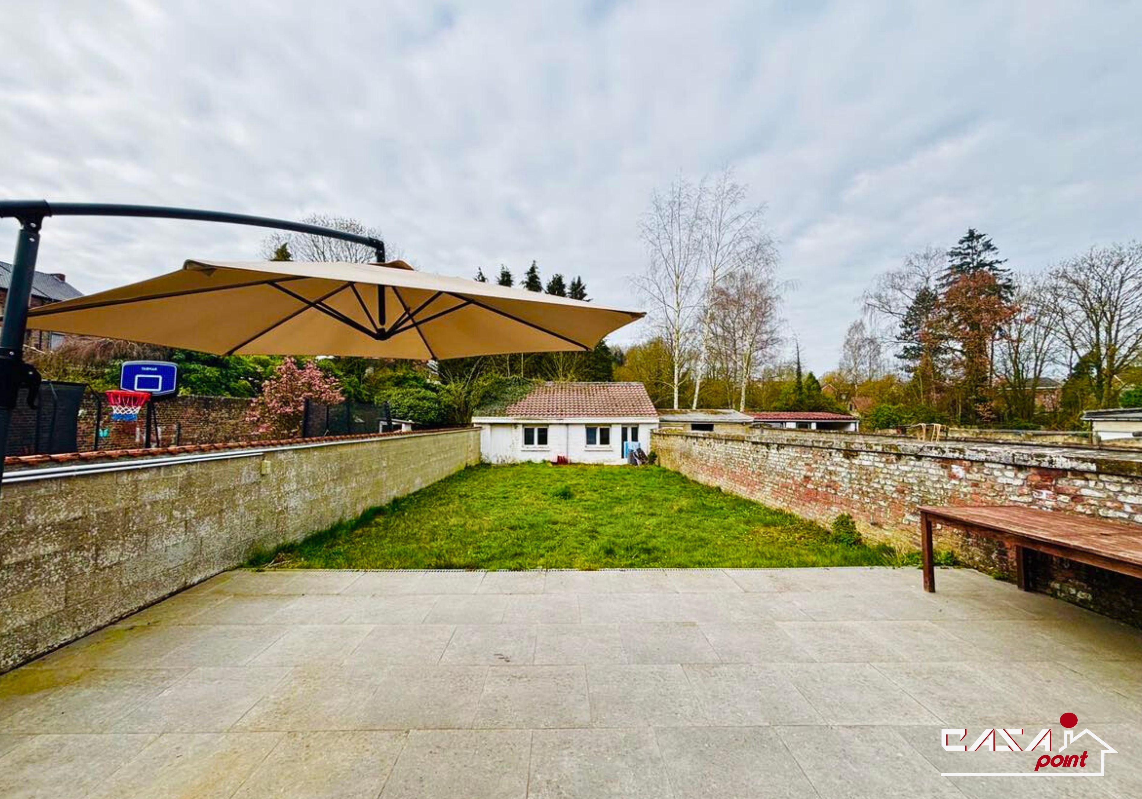 Marguerite  - Photo 15