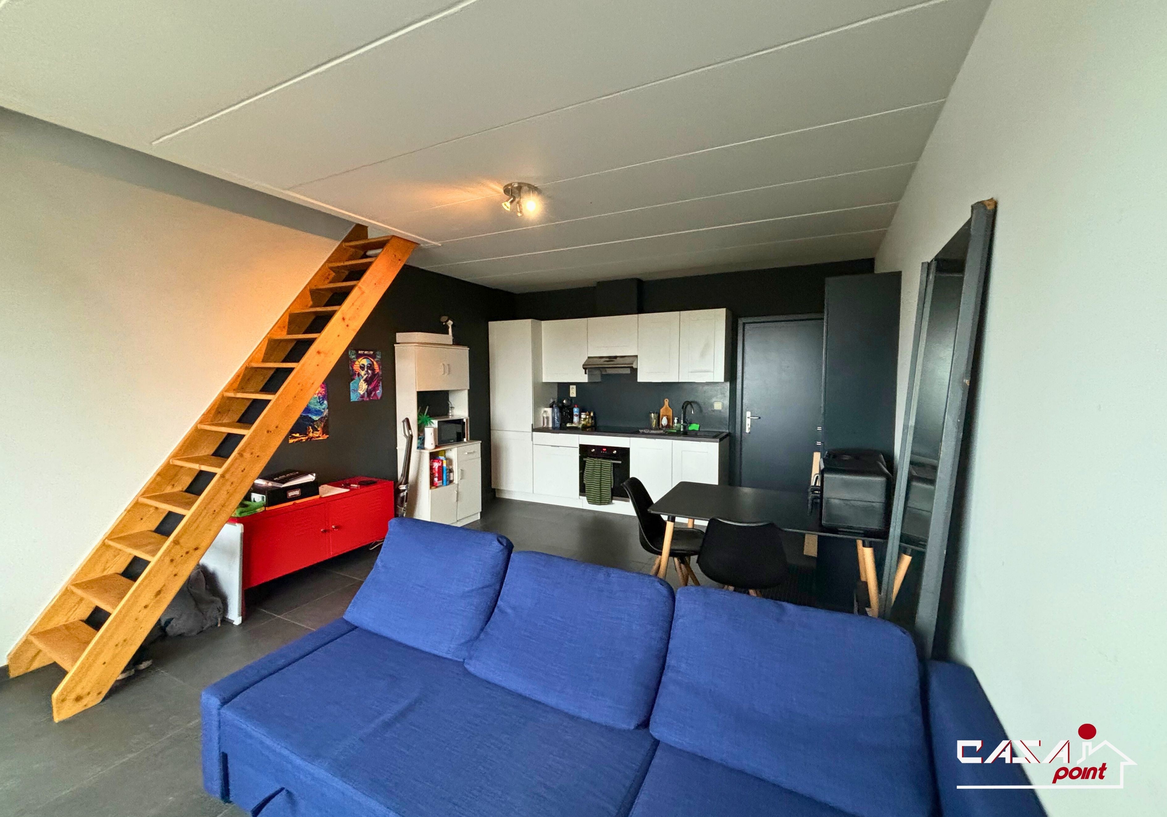 Appartement duplex 1 chambre