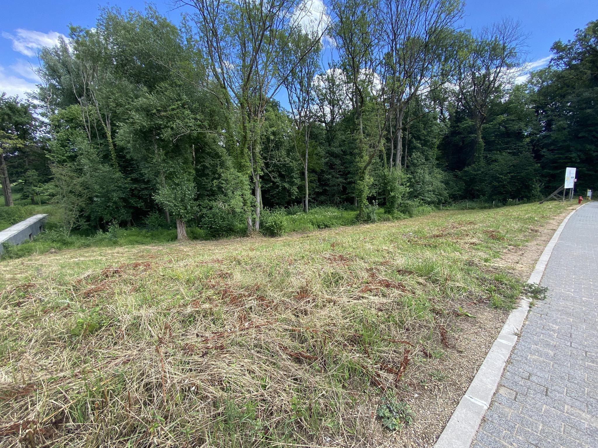 Terrain à bâtir - Photo 2