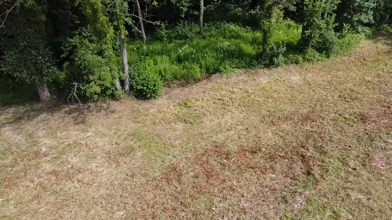 Terrain à bâtir - Photo 3