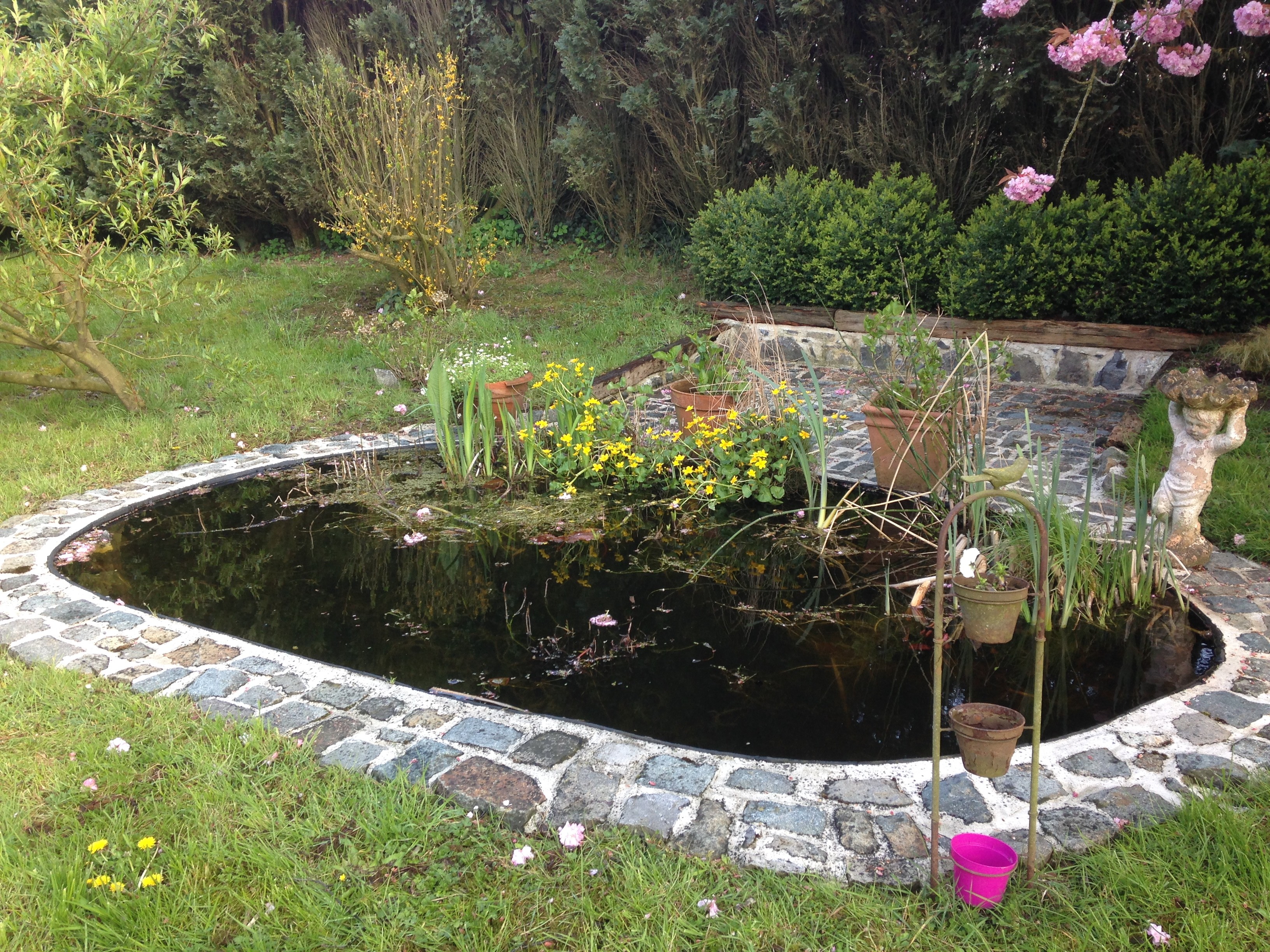 Maison 4 chambres dans un environnement champêtre  - Photo 12