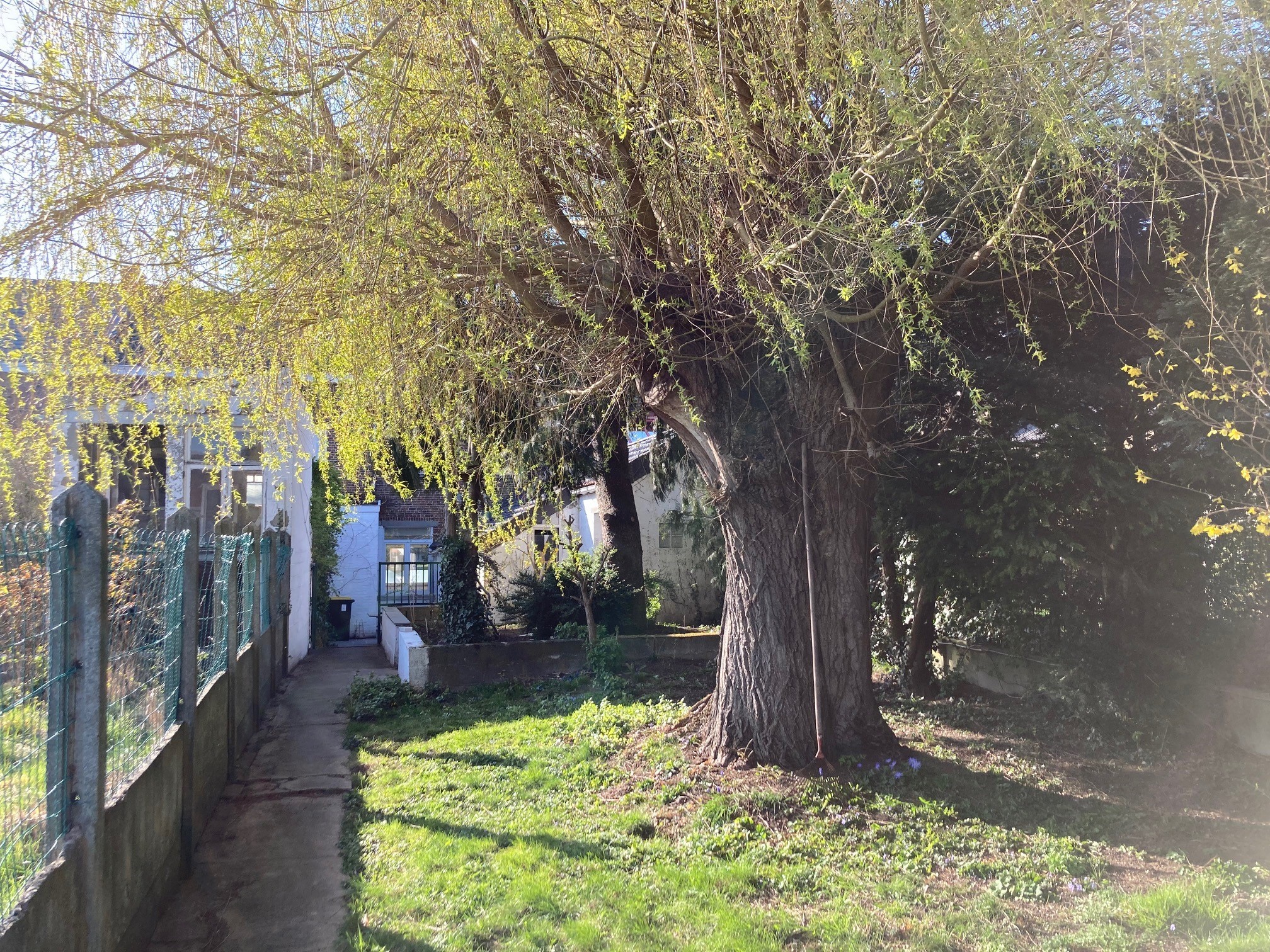 Maison 2 chambres avec jardin - Photo 10