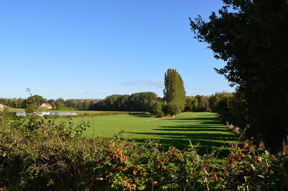 Maison de caractère située au calme  - Photo 7