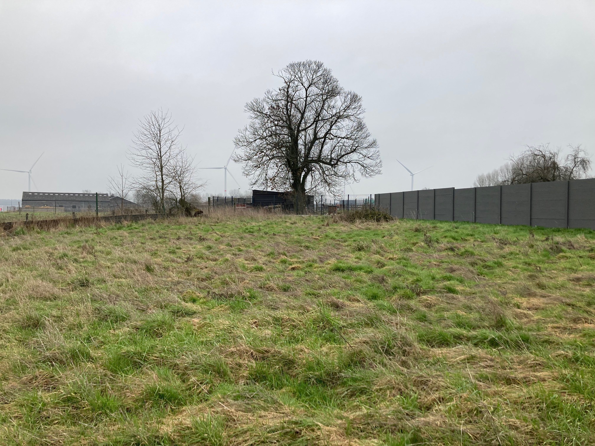 Terrain à Bâtir  - Photo 2