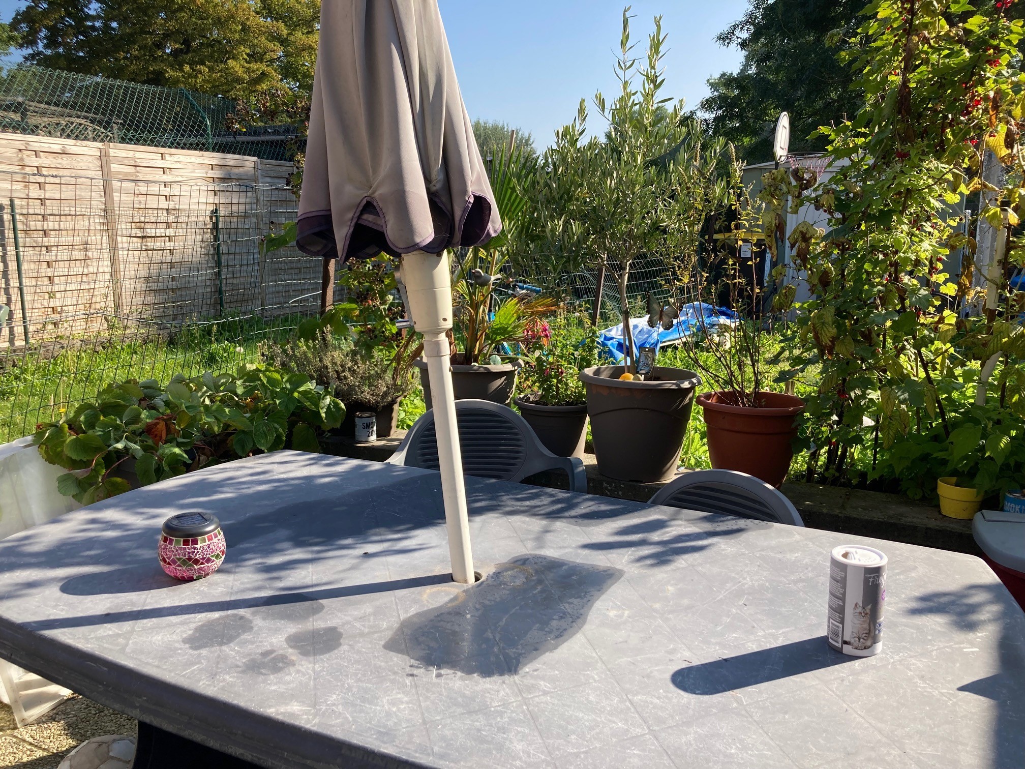 Petite maison bien située - Photo 9