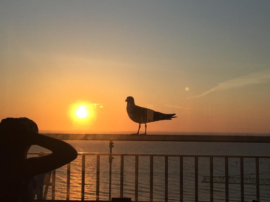 Superbe appartement à la mer - Photo 8