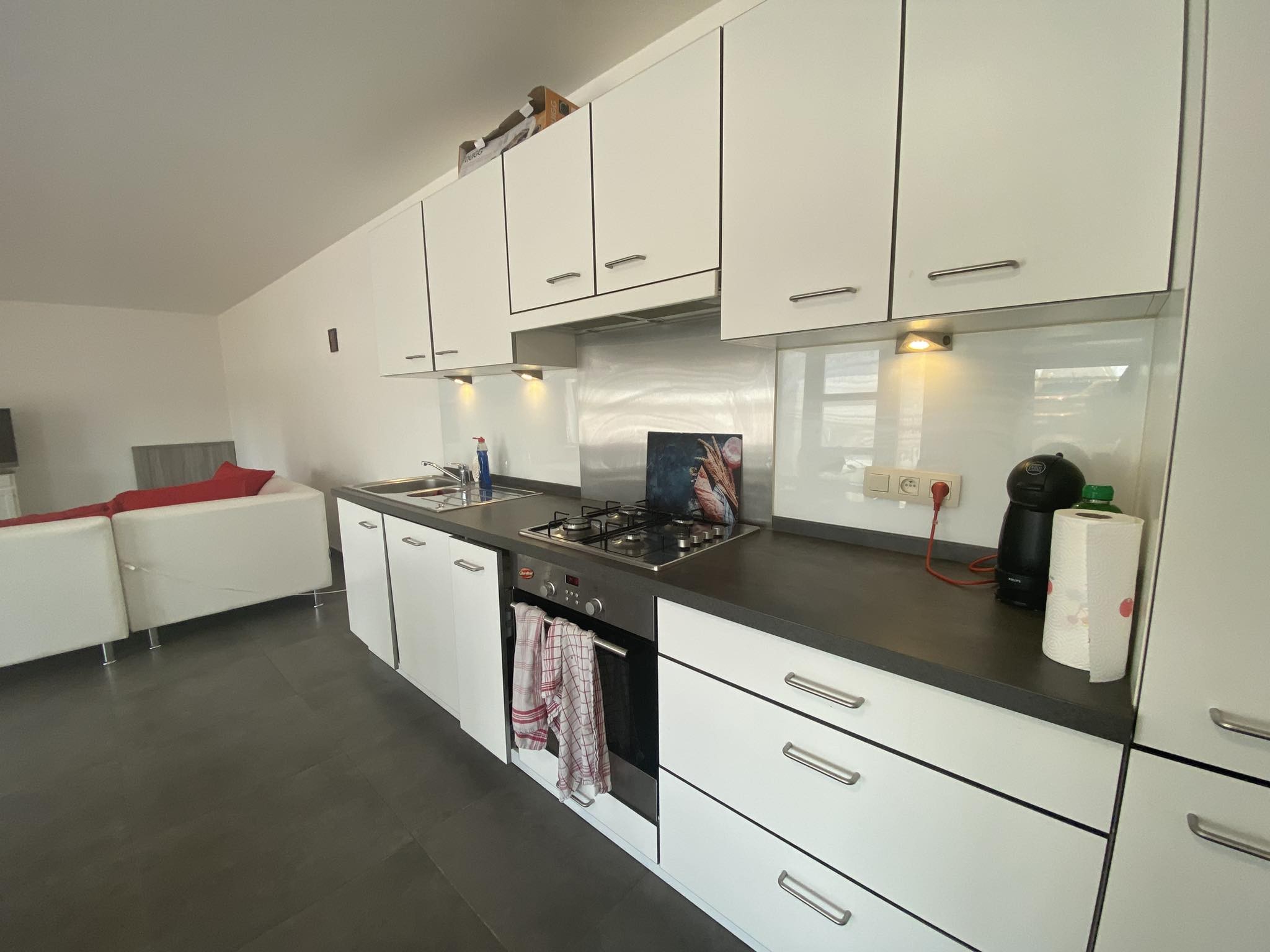 Appartement 1 chambre  - Photo 4